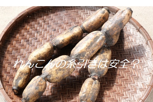 れんこんの糸引きは安全？