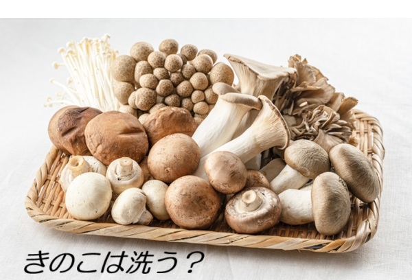 きのこは洗う？洗わない？