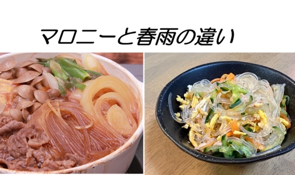 マロニーと春雨の違い