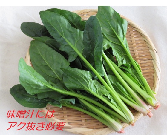 ほうれん草アク抜き