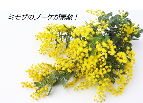ミモザのブーケ